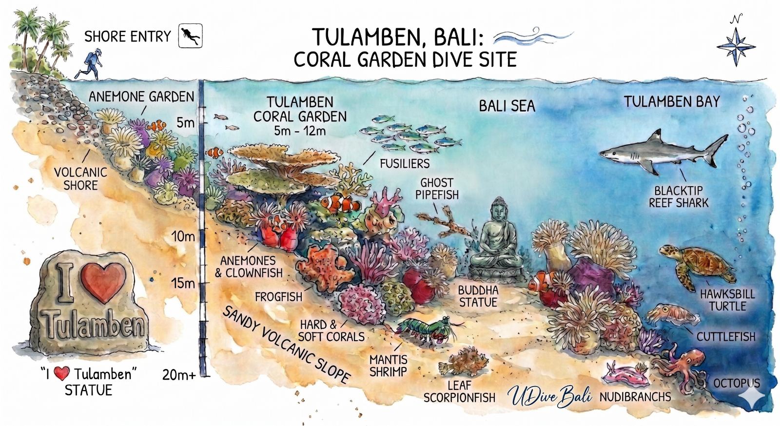 Coral Garden dive site map